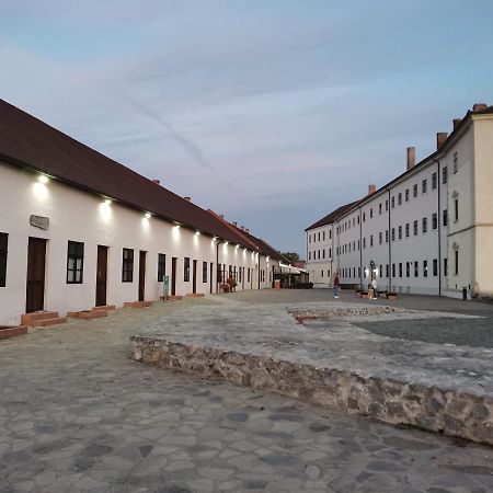 Spiegel Center Leilighet Oradea Eksteriør bilde